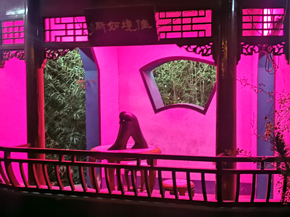 20250924_eurasianfigure-yugarden6