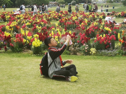 Shanghai Shenshan 1